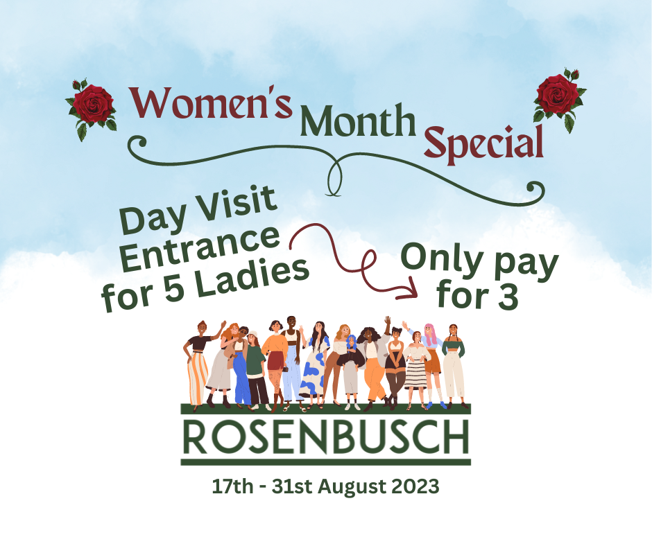 Rosenbusch A Home Away From Home